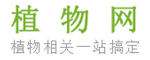 植物网